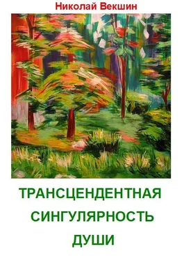 Николай Векшин Трансцендентная сингулярность души (сборник) обложка книги