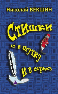 Николай Векшин Стишки и в шутку и всерьез обложка книги