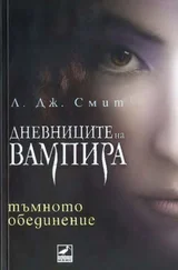 Л. Смит - Тъмното обединение (Книга четвърта)
