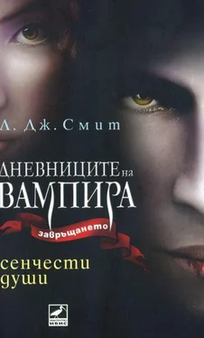 Л. Смит Сенчести души (Книга шеста) обложка книги