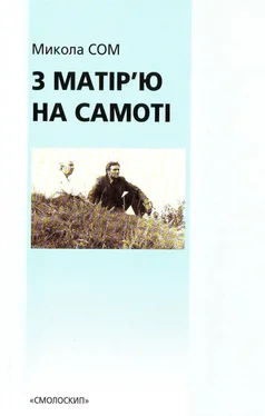 Микола Сом З матір'ю на самоті обложка книги