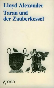 Lloyd Alexander Taran und der Zauberkessel обложка книги