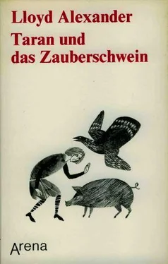 Lloyd Alexander Taran und das Zauberschwein обложка книги