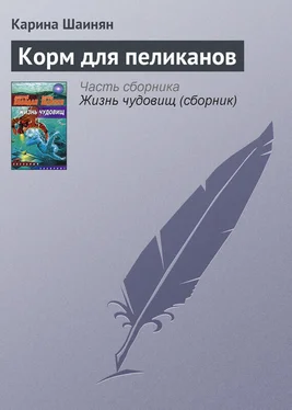 Карина Шаинян Корм для пеликанов обложка книги
