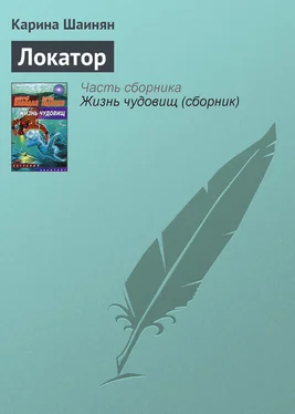 Карина Шаинян Локатор обложка книги