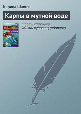 Карина Шаинян Карпы в мутной воде обложка книги