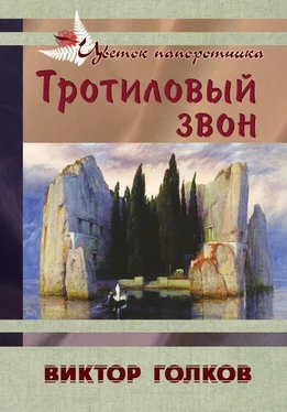 Виктор Голков Тротиловый звон обложка книги