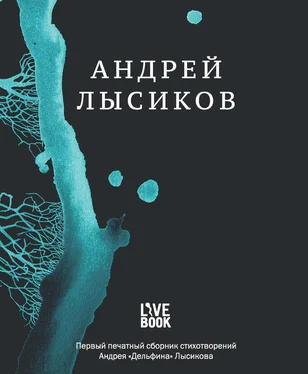 Андрей Лысиков Стихи обложка книги