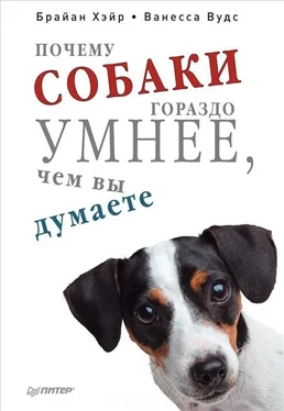 Брайан Хэйр Почему собаки гораздо умнее, чем вы думаете обложка книги