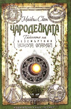 Майкъл Скот Чародейката обложка книги