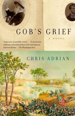 Chris Adrian Gob's Grief обложка книги