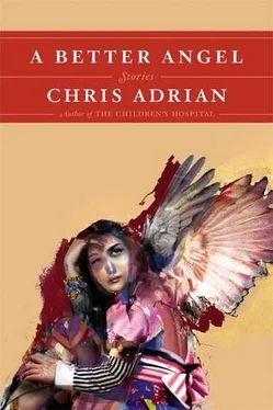 Chris Adrian A Better Angel обложка книги