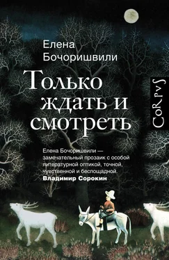 Елена Бочоришвили Только ждать и смотреть обложка книги