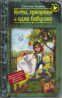 Светлана Лаврова Коты, призраки и одна бабушка (сборник) обложка книги