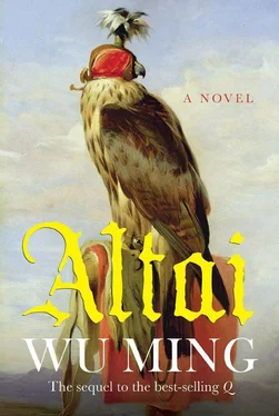 Wu Ming Altai обложка книги