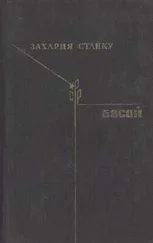 Захария Станку - Босой