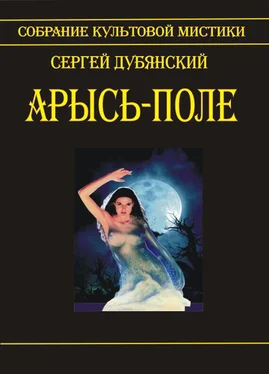 Сергей Дубянский Арысь-поле обложка книги