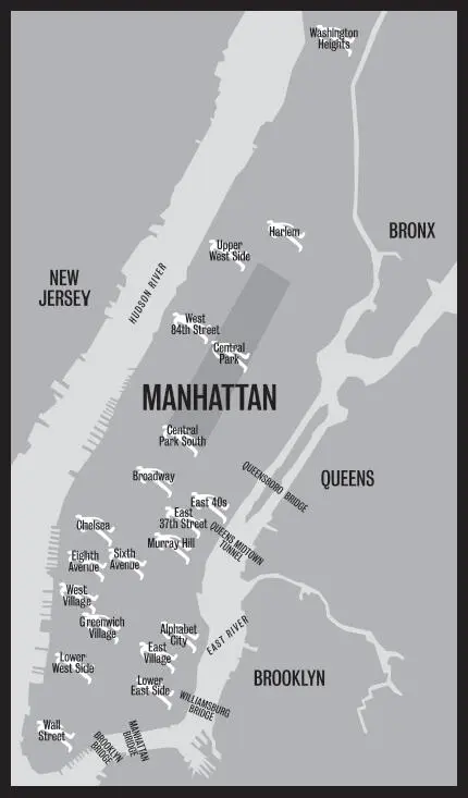 M anhattan Noir 2 How did that happen Almost inevitably it seems to me - фото 1