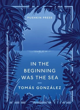 Tomás Gonzáles In the Beginning Was the Sea обложка книги