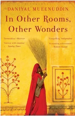 Daniyal Mueenuddin In Other Rooms, Other Wonders обложка книги