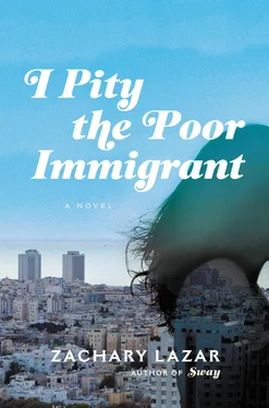 Zachary Lazar I Pity the Poor Immigrant обложка книги