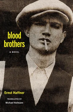 Ernst Haffner Blood Brothers обложка книги