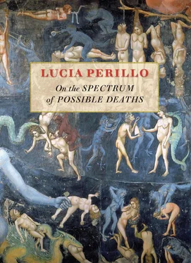 Lucia Perillo On the Spectrum of Possible Deaths обложка книги