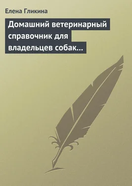 Елена Гликина Домашний ветеринарный справочник для владельцев собак и кошек