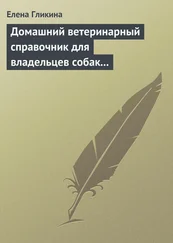 Елена Гликина - Домашний ветеринарный справочник для владельцев собак и кошек