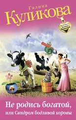 Галина Куликова - Не родись богатой, или Синдром бодливой коровы