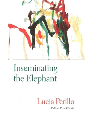 Lucia Perillo Inseminating the Elephant обложка книги