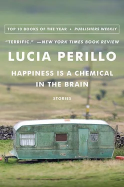 Lucia Perillo Happiness Is a Chemical in the Brain: Stories обложка книги