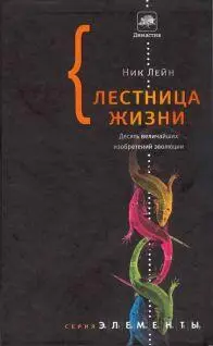 Лестница жизни Десять величайших изобретений эволюции - изображение 1