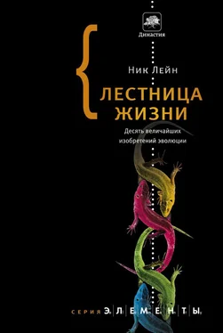 Ник Лейн Лестница жизни. Десять величайших изобретений эволюции обложка книги