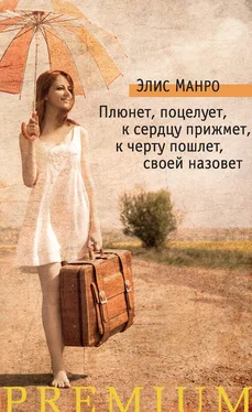 Элис Манро (Мунро) Плюнет, поцелует, к сердцу прижмет, к черту пошлет, своей назовет (сборник) обложка книги