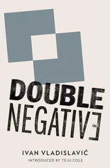 Ivan Vladislavic - Double Negative