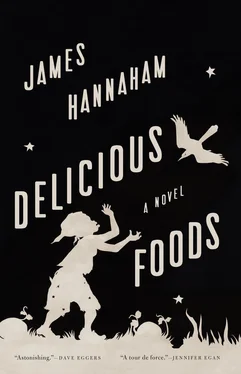 James Hannaham Delicious Foods обложка книги