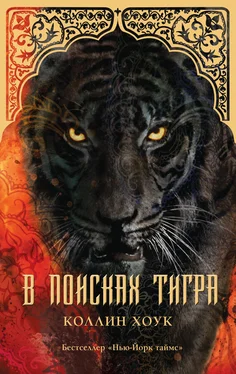 Коллин Хоук В поисках тигра обложка книги