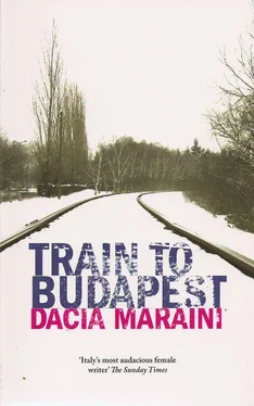 Dacia Maraini Train to Budapest обложка книги