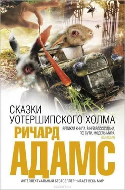 Ричард Адамс Сказки Уотершипского холма обложка книги