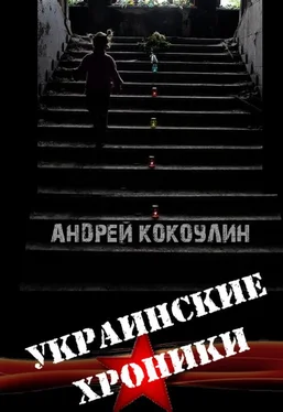 Андрей Кокоулин Украинские хроники обложка книги