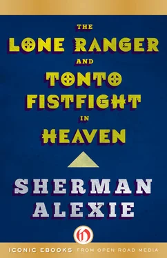 Sherman Alexie The Lone Ranger and Tonto Fistfight in Heaven обложка книги