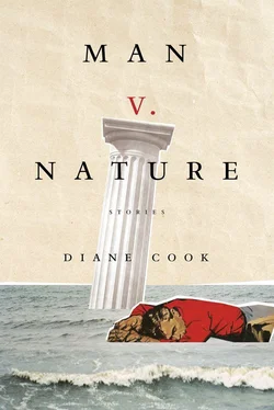 Diane Cook Man V. Nature: Stories обложка книги