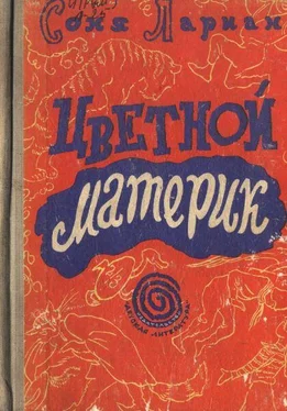 Соня Лариан Цветной материк обложка книги