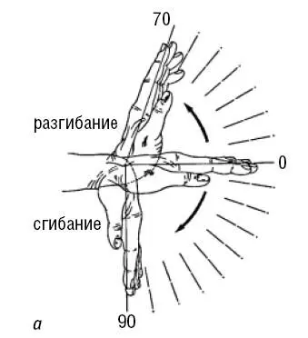 Рис 7 Нормальная амплитуда движений в суставах кисти а амплитуда - фото 9