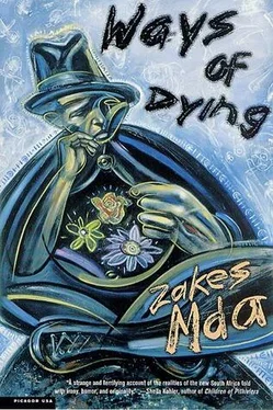 Zakes Mda Ways of Dying обложка книги