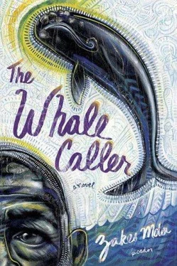 Zakes Mda The Whale Caller обложка книги