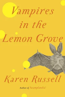 Karen Russell Vampires in the Lemon Grove обложка книги