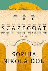 Sophia Nikolaidou - The Scapegoat