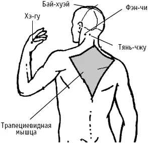 Рис 24 б Давлением пальца на фэнчи в течение 35 минут вы сможете - фото 13